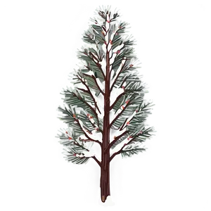 Winter Pine Trees With Cones PNG 06292024