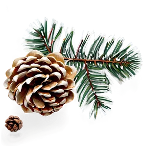 Winter Pinecone Decoration Png 06132024 PNG image