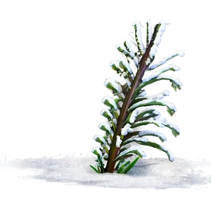 Winter Plants Png 05042024 PNG image