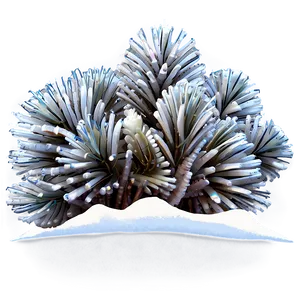 Winter Plants Png 40 PNG image