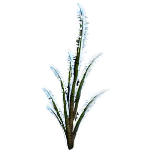 Winter Plants Png Xef PNG image