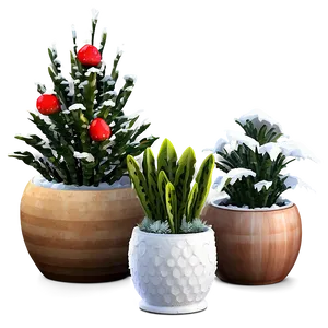 Winter Potted Plants PNG 72