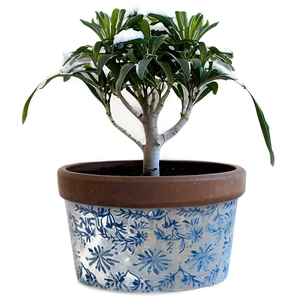 Winter Potted Plants PNG Ruv