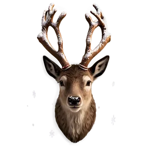 Winter Reindeer Face Png 06282024 PNG image