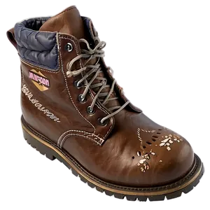Winter Shoe PNG 13