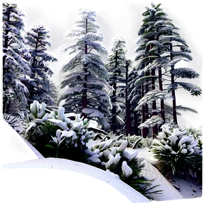 Winter Snow Forest Trees Png 29 PNG image