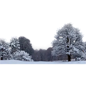 Winter Snow Scene Photo PNG Ktq