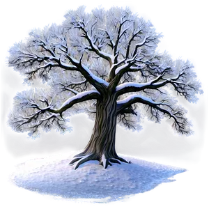 Winter Snowy Oak Tree PNG 41 PNG