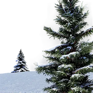 Winter Spruce Tree Scenery Png 06132024 PNG image