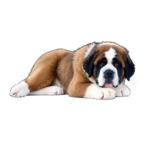Winter St Bernard Fluff PNG 06292024 PNG