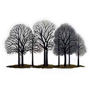 Winter Trees And Foggy Landscape PNG 62 PNG