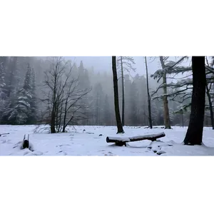 Winter Trees And Foggy Landscape PNG 97 PNG