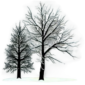 Winter Trees And Full Moon PNG Eld57 PNG