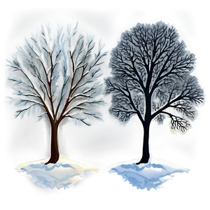 Winter Trees C PNG image