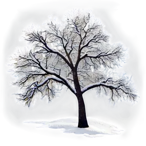 Winter Trees In Blizzard PNG 13 PNG
