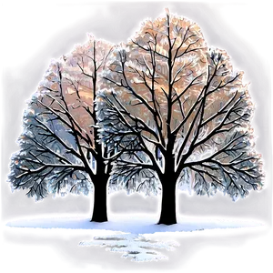 Winter Trees In Sunrise Glow PNG Ivp