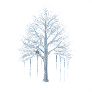 Winter Trees With Icicles PNG 94