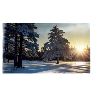 Winter Trees With Sun Glare Png 06292024 PNG image