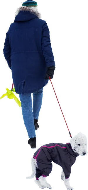 Winter Walk With Pet Dog PNG