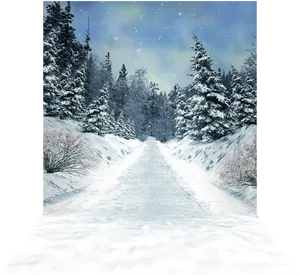Winter Wonderland Snowy Path.jpg PNG image