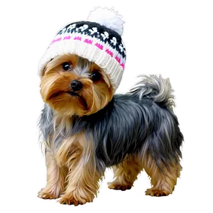 Winter Yorkie Png 06242024 PNG image