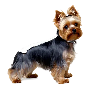 Winter Yorkie PNG Fwc98 PNG