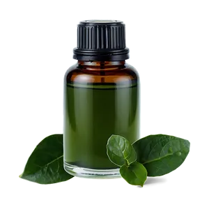 Wintergreen Essential Oil PNG 06292024