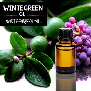 Wintergreen Essential Oil PNG 6