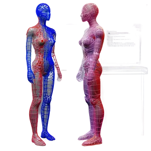 Wireframe Mannequin PNG 52