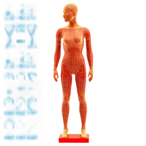 Wireframe Mannequin PNG Pna