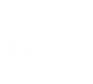 Wireless Signal Icon