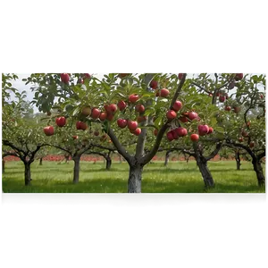 Wisconsin Apple Orchard Png Enn39 PNG image