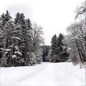 Wisconsin Winter Wonderland Png 15 PNG image