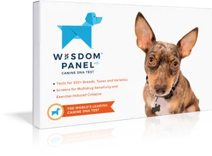Wisdom Panel Canine D N A Test Packaging PNG image