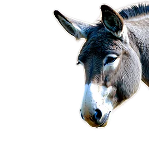 Wise Old Donkey PNG 05232024 PNG