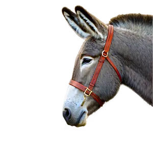 Wise Old Donkey PNG Mbp66 PNG