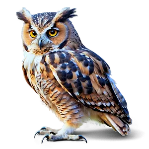 Wise Owl PNG 05062024