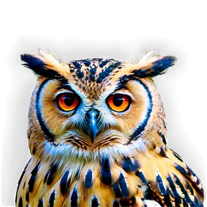 Wise Owl Png Vix PNG image