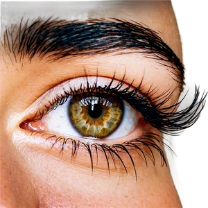 Wispy Lashes Extensions Png Qsi29 PNG image