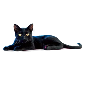 Witch Black Cat PNG Mvn27