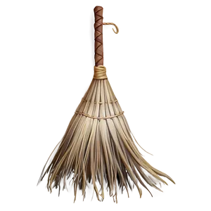 Witch Broom PNG 05252024