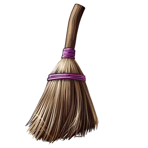 Witch Broom PNG 19