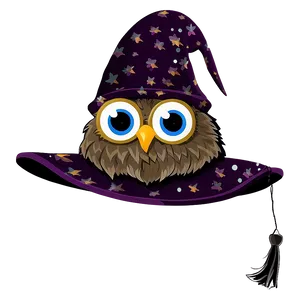 Witch Hat With Owls PNG 72