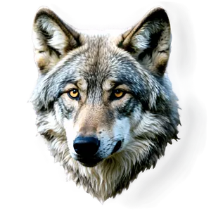 Wolf A PNG