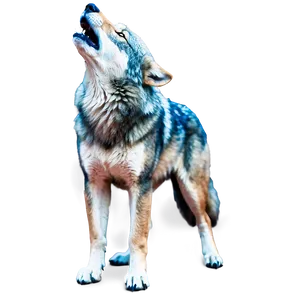 Wolf Constellation Stars PNG 90