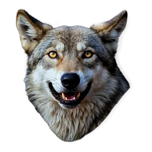 Wolf Eyes Gaze PNG 68