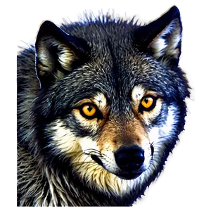 Wolf Eyes Graphic Design PNG 87 PNG