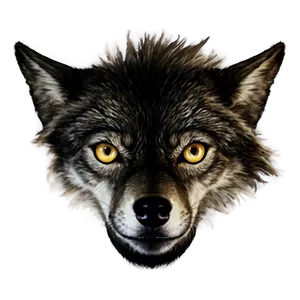 Wolf Eyes In Darkness PNG 95 PNG
