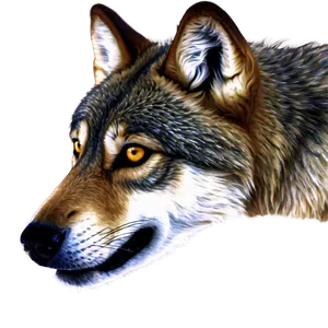 Wolf Eyes In Snow Png 37 PNG image