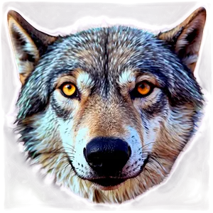 Wolf Eyes Profile PNG 06292024